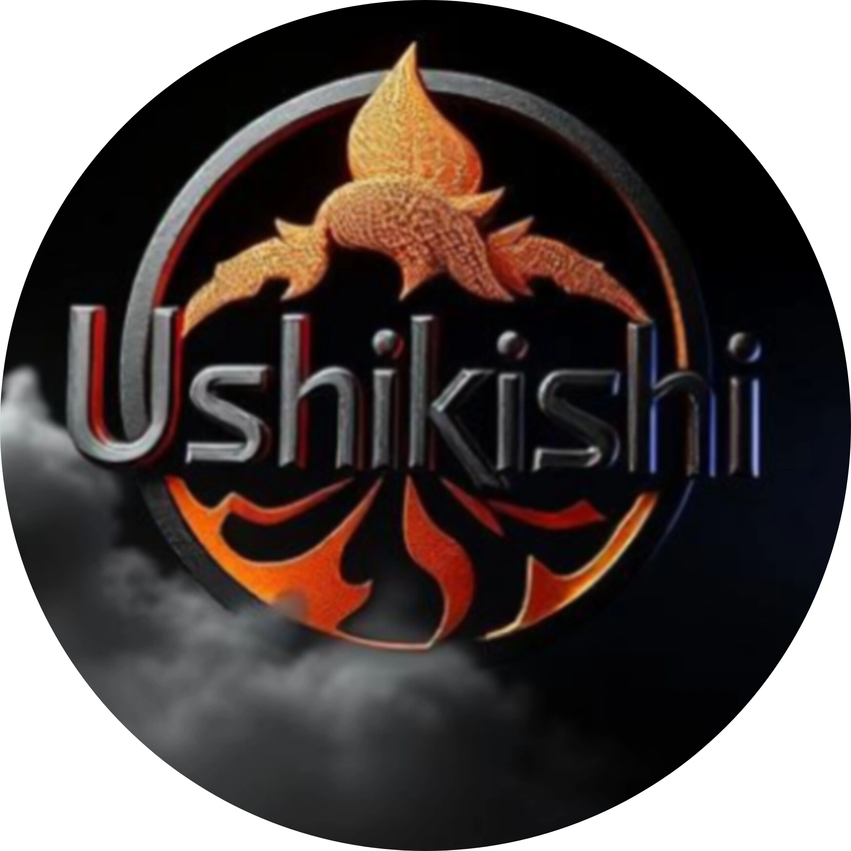 Siyabonga Mathaba — Founder of Ushikishi